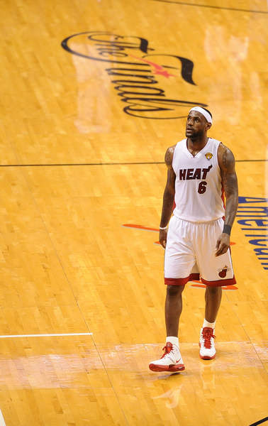 的新环境中 的新环境中