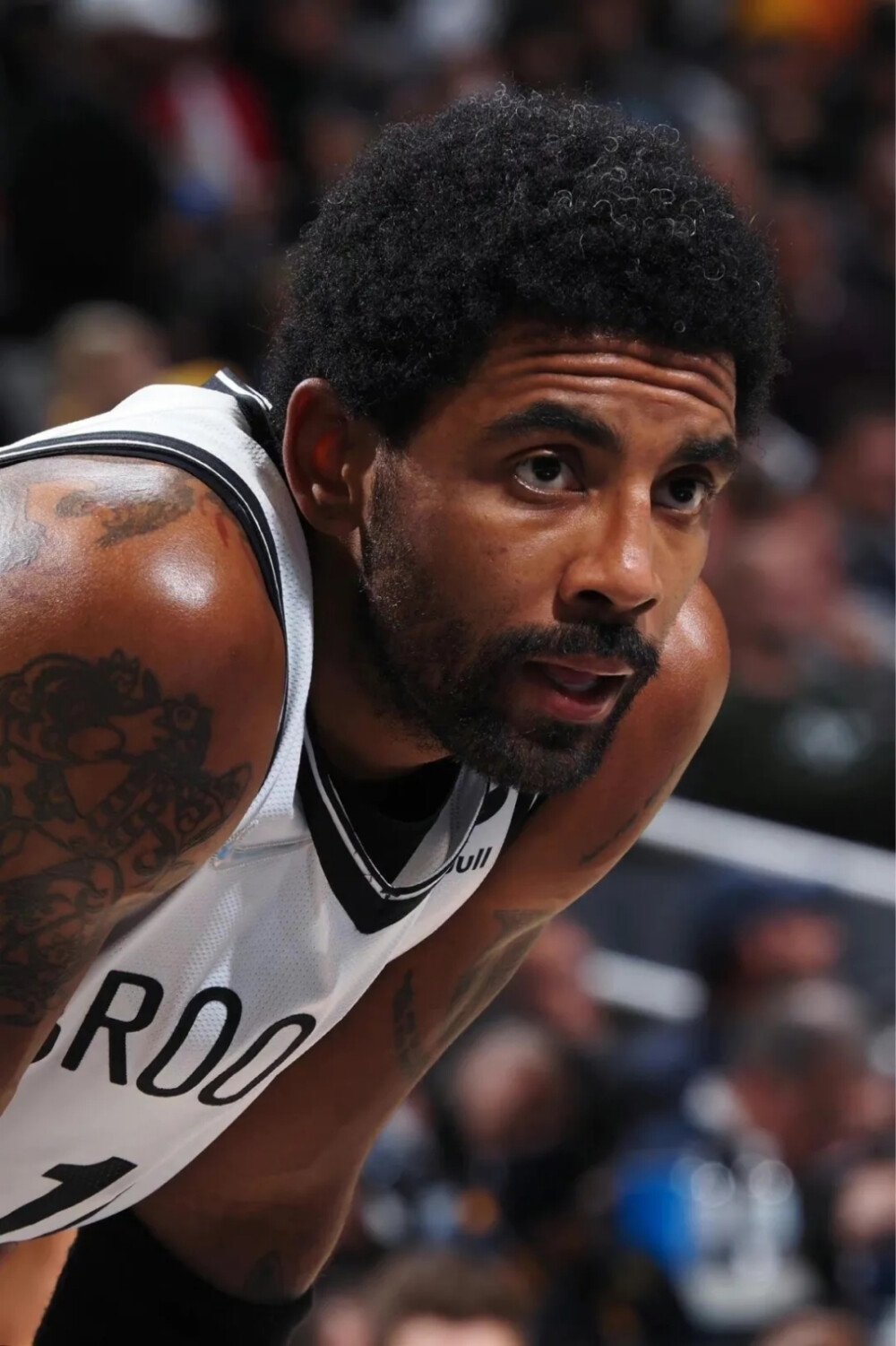 媒体互动 媒体互动