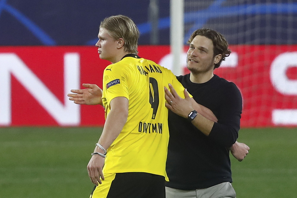 的羊肉美食 的羊肉美食