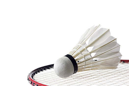 组成的组合 组成的组合